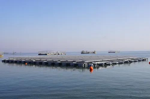 破局！海上光伏“探路者”